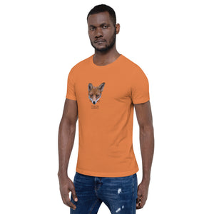 Fox design